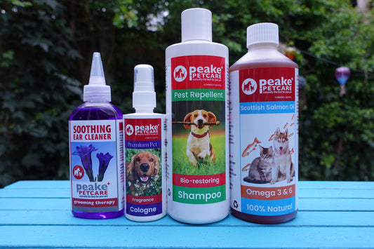 The Adventure Protection Pack