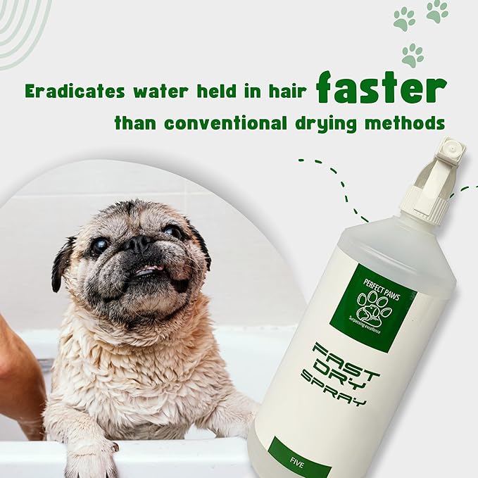 1L Fast Dry - 6 Fragrances - Trade